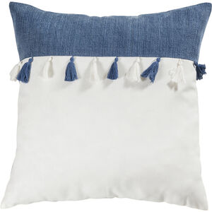 Ryder 20 X 0.1 inch Blue with White Pillow, Cover Only