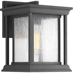 Leticia 1 Light 11 inch Textured Black Outdoor Wall Lantern, Small