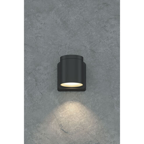 Outdoor Cylinder 1 Light 4 inch Anthracite LED Wall Sconce Wall Light