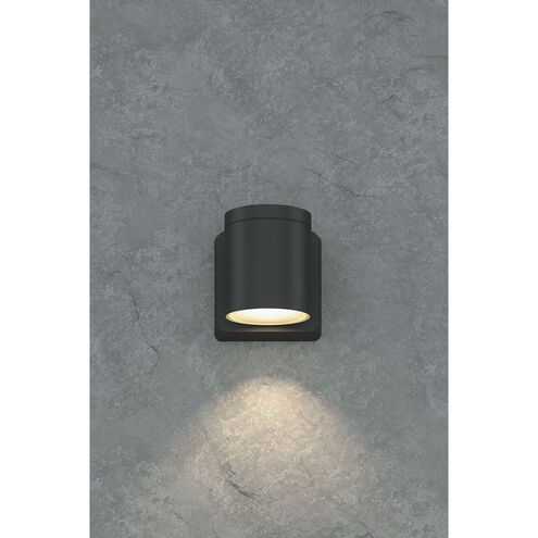 Outdoor Cylinder LED Wall Sconce Wall Light in Anthracite