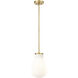 Newbury 1 Light 8.00 inch Pendant