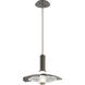 Cumulus LED 10 inch Beige Silver with Clear Granite Glass Pendant Ceiling Light, Medium