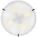 Halle 4 Light 19.5 inch Black Semi-flush Mount Ceiling Light