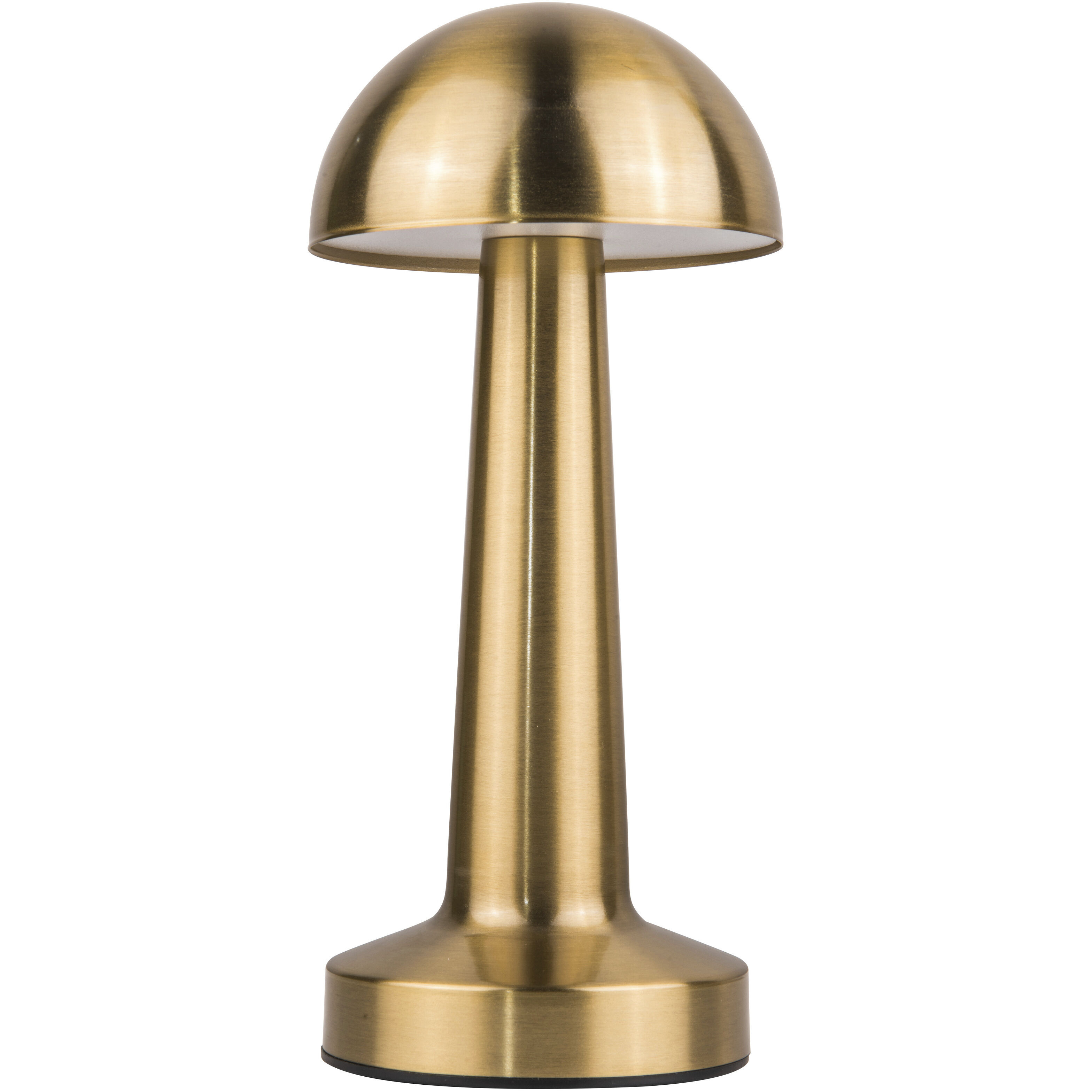 Joni 8.5 inch 1.00 watt Brass Rechargeable Lamp Portable Light