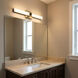 Fentress LED 24 inch Midnight Black Vanity Light Wall Light