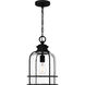 Bowles 1 Light 10 inch Earth Black Mini Pendant Ceiling Light