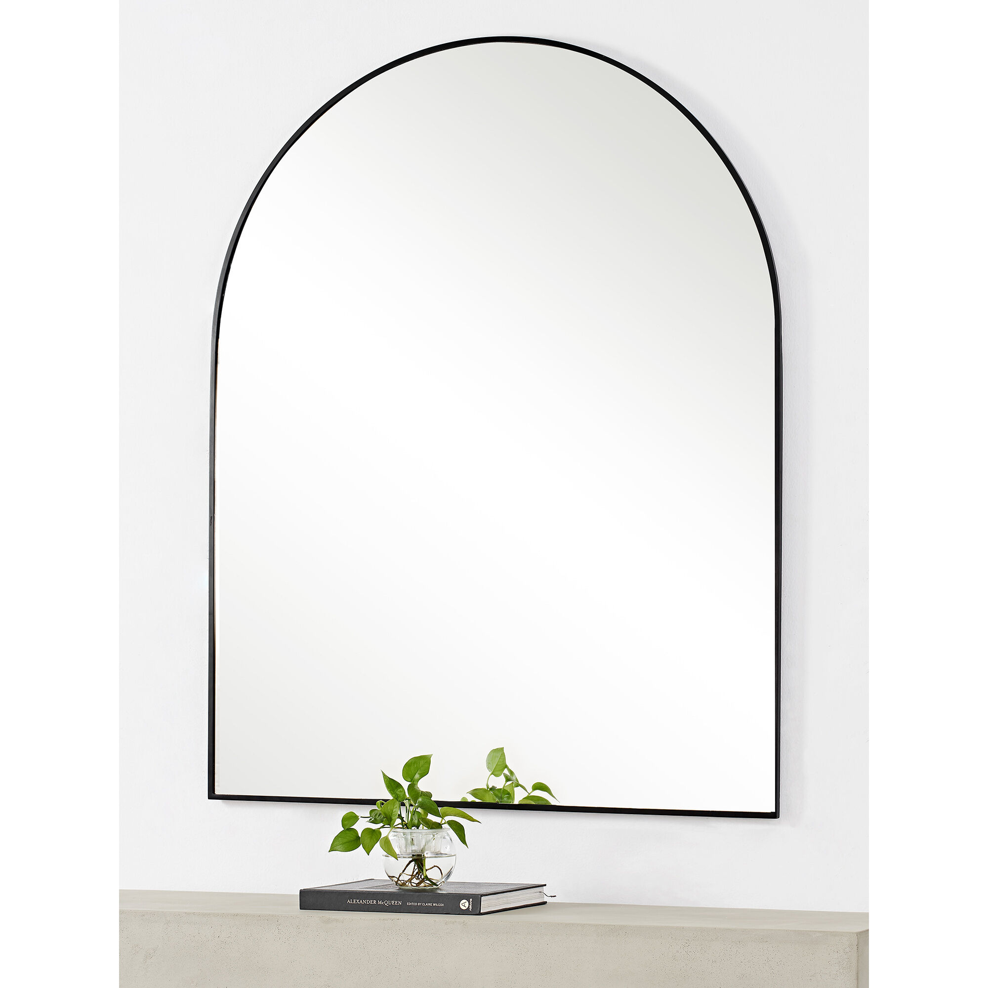 Lamia 50 X 40 inch Matte Black and Clear Mirror