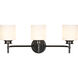 Warren 3 Light 24 inch Gun Metal Vanity Light Wall Light