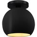 Radiance LED 10 inch Carbon Matte Black and Champagne Gold and Matte Black Semi Flush Ceiling Light