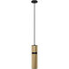 Cicada LED 3 inch Smooth Brass with Black Pendant Ceiling Light