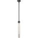 Zigrina 1 Light 5.13 inch Satin Brushed Black with Polished Nickel Pendant Ceiling Light