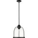 Stanton 1 Light 12 inch Matte Black Pendant Ceiling Light