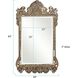 Marquette 84 X 48 inch Champagne Silver Wall Mirror 