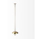 Garnet 14.5 inch Gold Hammered Pendant Light Ceiling Light