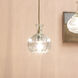 Sophia Carafe 1 Light 6.25 inch Clear with Brass Pendant Ceiling Light