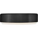 Cedric 3 Light 18 inch Black Flush Mount Ceiling Light