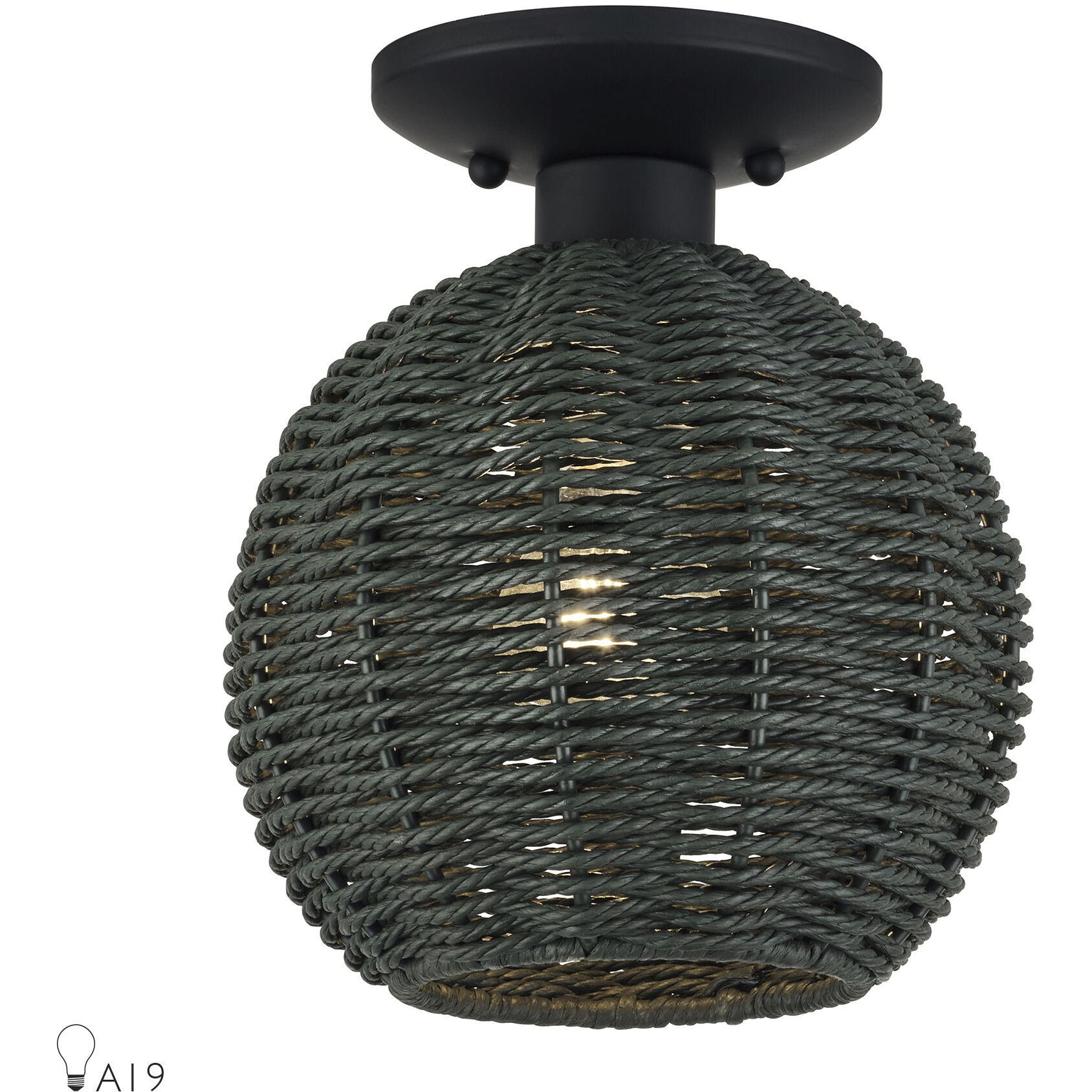 Deluna 1 Light 8 inch Black Semi Flush Mount Ceiling Light, Small