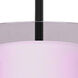 Pahu 8 LED Black Stem Pendant Ceiling Light