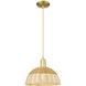 Natural Ballston Dome 1 Light 11.75 inch Mini Pendant