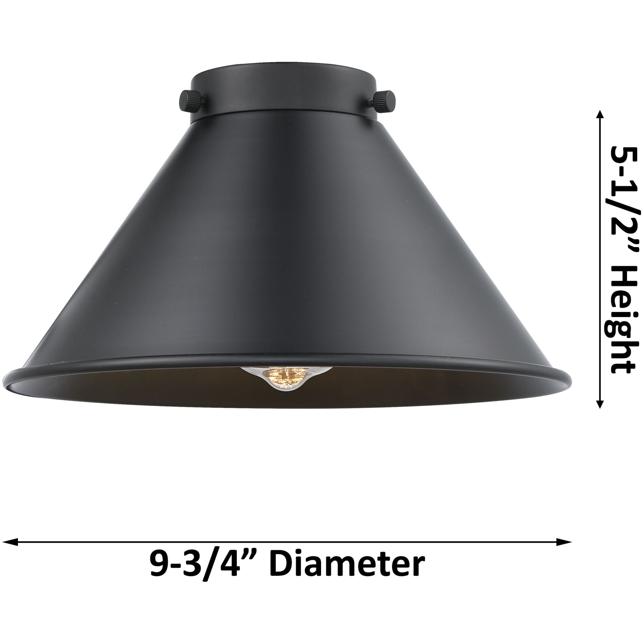 Briarcliff 1 Light 10 inch Black Antique Brass Mini Pendant Ceiling Light in Matte Black