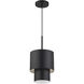 Zolana 1 Light 8.5 inch Black Mini Pendant Ceiling Light