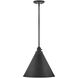 Arti 1 Light 15 inch Black Pendant Ceiling Light