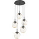 Aster LED LED Matte Black Chandelier Ceiling Light, Round Multi-Port