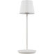Mena 12.88 inch 2.20 watt Soft White Outdoor Table Lamp