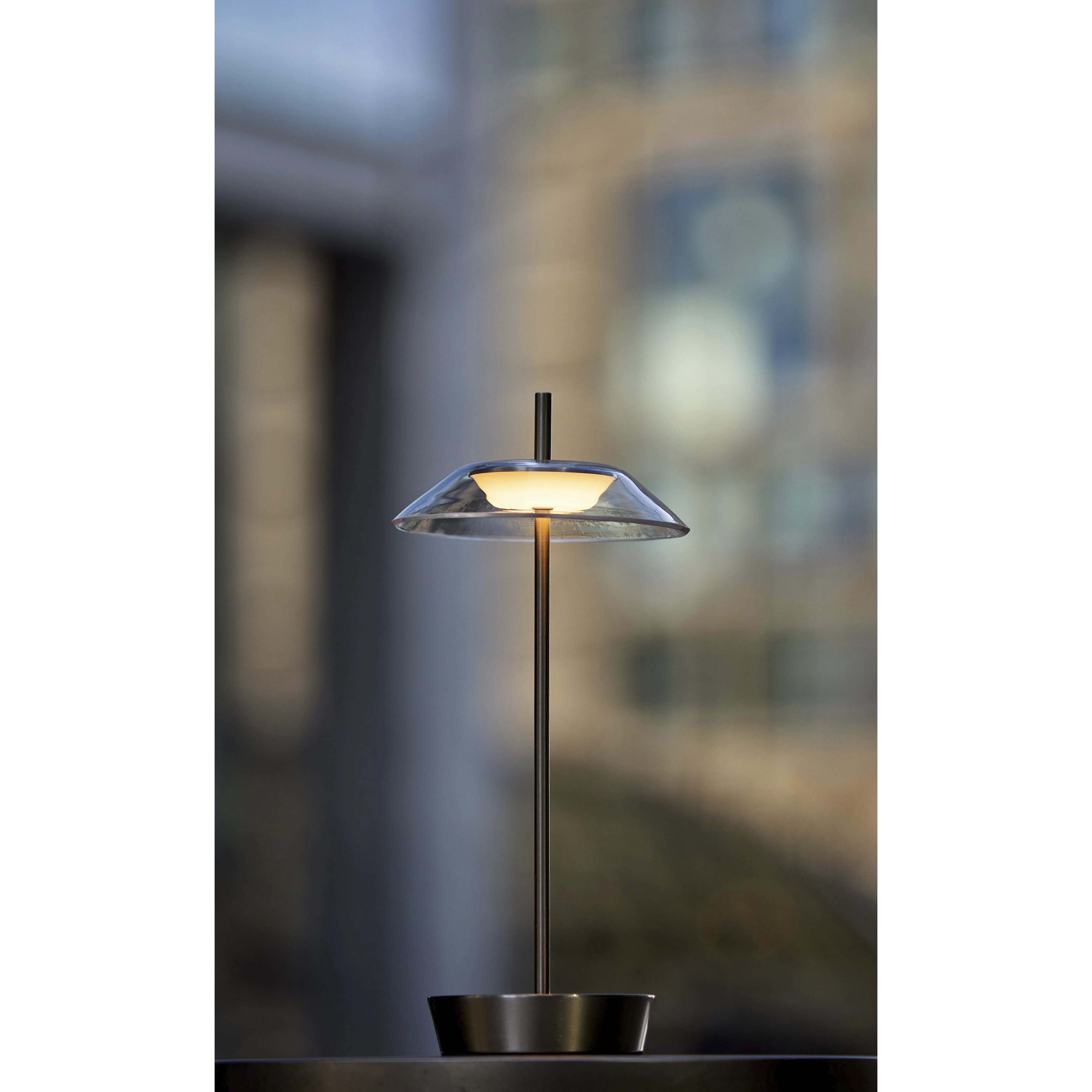 Ako 12 inch 2.00 watt Brushed Steel Cordless Table Lamp Portable Light, ADS360