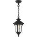 Oxford 1 Light 7.25 inch Outdoor Pendant/Chandelier