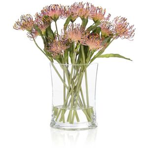 Cushion Protea Botanical, Fresh Water Look