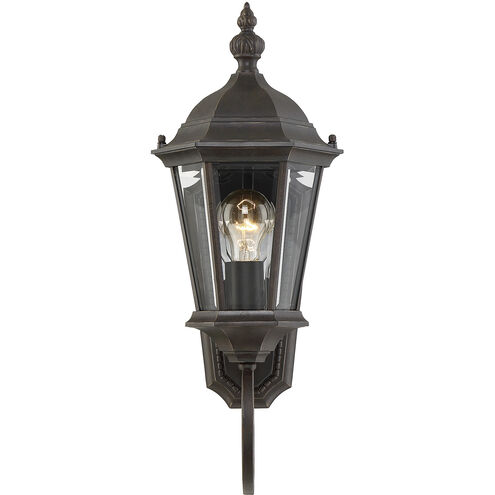 Wakefield 1 Light 20 inch Walnut Patina Outdoor Wall Lantern 