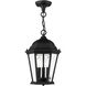 Hamilton 3 Light 10 inch Textured Black Outdoor Pendant Lantern