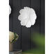 Rose White Wall Accent