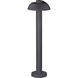 Alumilux Pathway 1 watt Dark Grey Outdoor Pathway Light