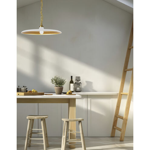 Quentin LED 24 inch Aged Brass Pendant Ceiling Light in Matte White/Gold