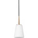 Driscoll 1 Light 5.25 inch Satin Brass Pendant Ceiling Light