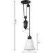 Farmhouse 1 Light 7 inch Oil Rubbed Bronze Mini Pendant Ceiling Light