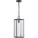 Augusta 1 Light 7 inch Matte Black Outdoor Pendant