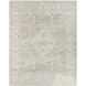 Once Upon a Time 34.65 X 23.23 inch Ivory / Light Gray / Gray / Tan / Light Brown Machine Woven Rug in 2 x 3