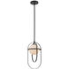 Lennox 1 Light 9 inch Matte Black Mini Pendant Ceiling Light