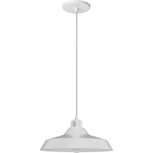 Olya 11.75 inch Pendant