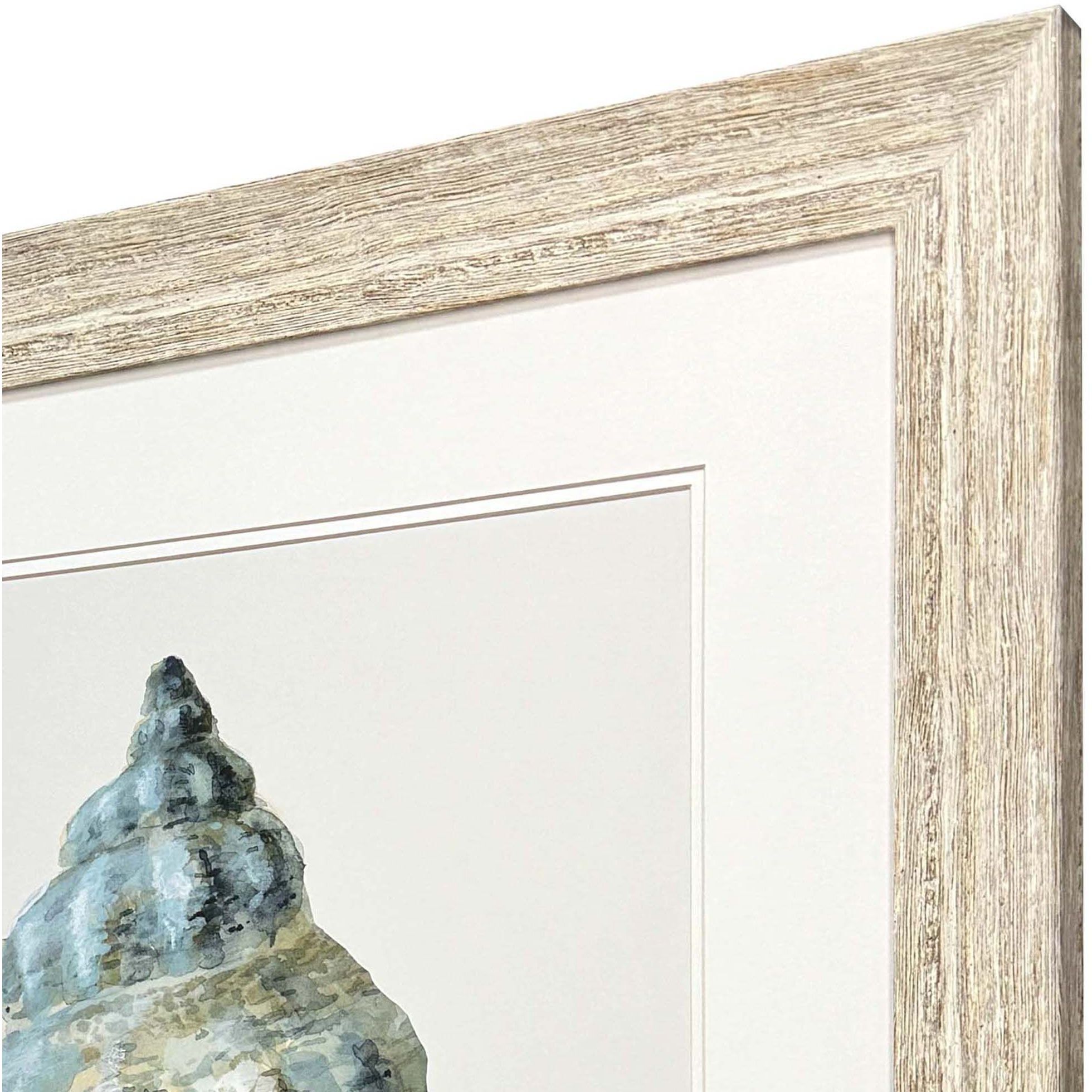 Coastal Bliss Green and Blue Framed Art, Propac