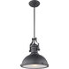 Cresswell Series 1 Light 13 inch Matte Black Pendant Ceiling Light