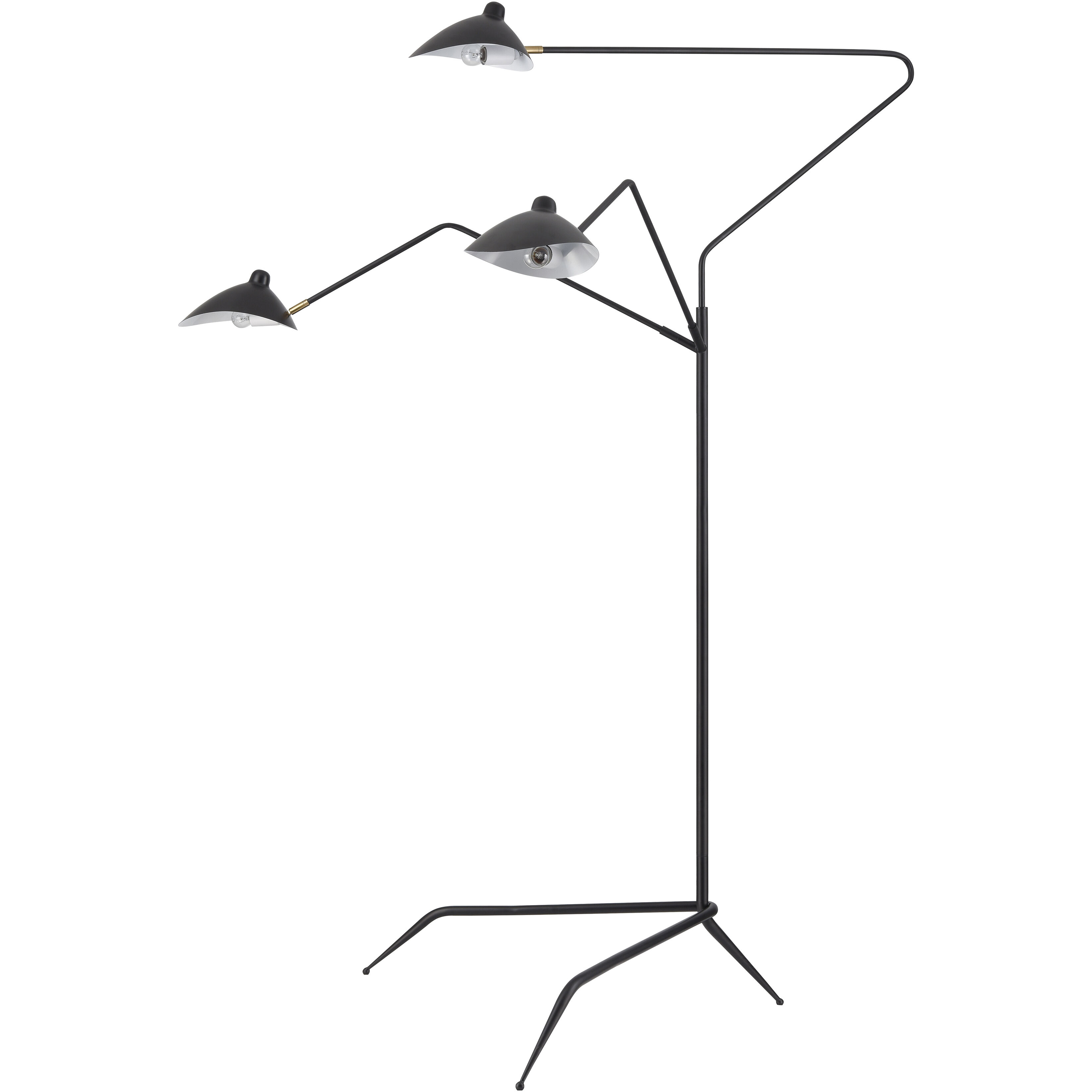 Risley 81.5 inch 40 watt Matte Black with Aged Brass Floor Lamp Portable Light