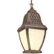 Biscayne 1 Light 10.25 inch Biscayne Outdoor Pendant