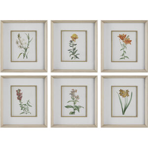 Classic Botanicals 19.38 X 17.38 inch Framed Prints, Set of 6