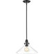 Dwyer 1 Light 15 inch Matte Black Pendant Ceiling Light