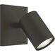Ascoli Bronze 1 Light Interior Spotlight