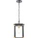 Vincentown 1 Light 8 inch Matte Black with Brushed Brass Outdoor Pendant